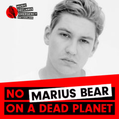 Marius Bear Korr